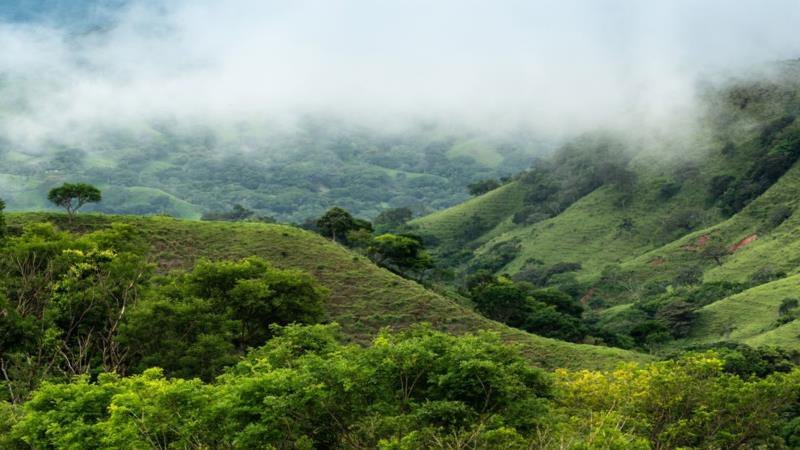 Monteverde felhőerdői, Costa Rica