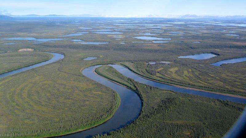 A Yukonban elterülő Old Crow régió különlegesen gazdag fosszíliáiról ismert